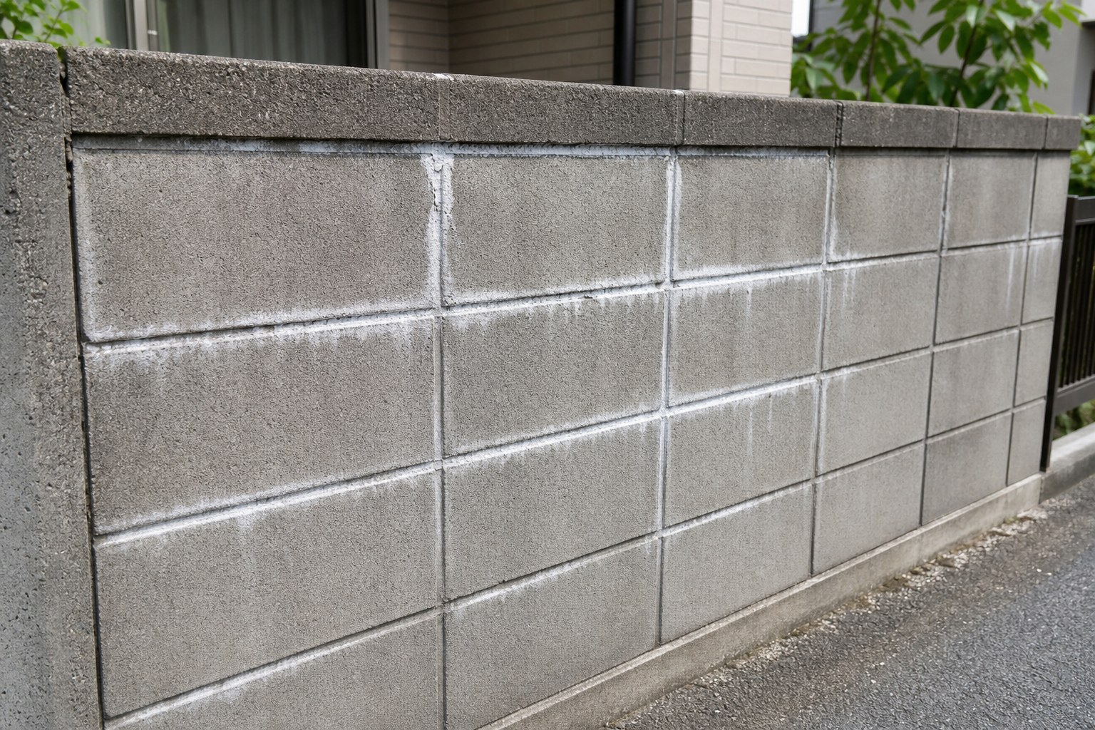 軽い白華が出たブロック塀