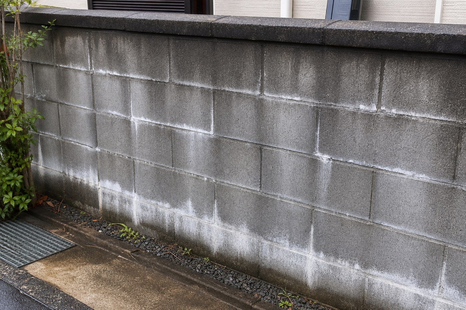 水の通り道が見えるブロック塀の白華